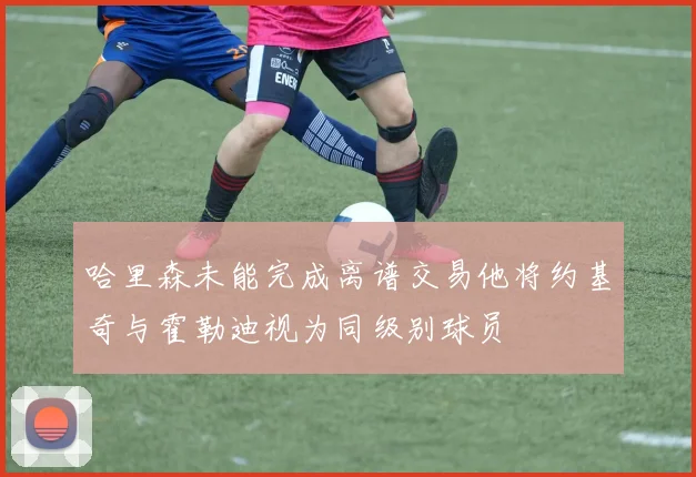 哈里森未能完成离谱交易他将约基奇与霍勒迪视为同级别球员